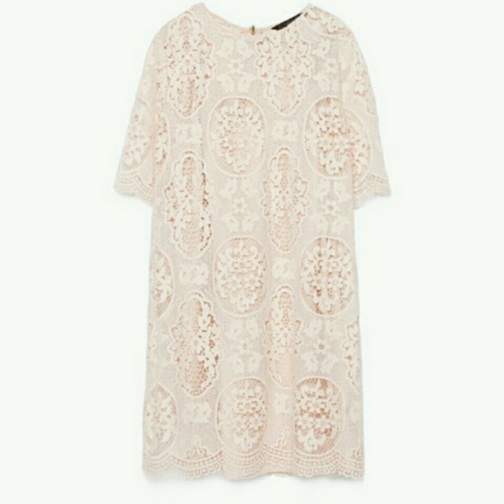 Zara Nude Pink Lace Dress - Picture 7 of 14